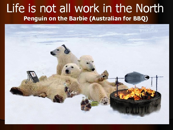 Life is not all work in the North Penguin on the Barbie (Australian for