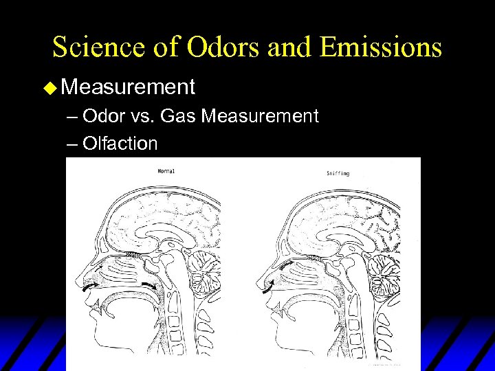 Science of Odors and Emissions u Measurement – Odor vs. Gas Measurement – Olfaction