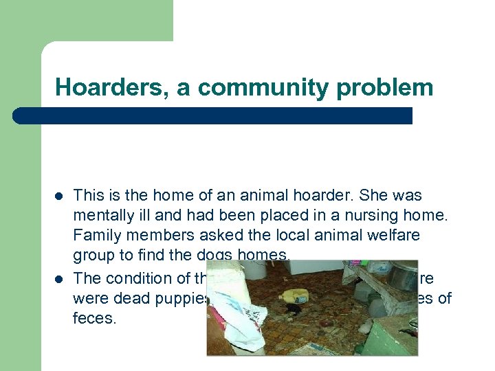 Hoarders, a community problem l l This is the home of an animal hoarder.