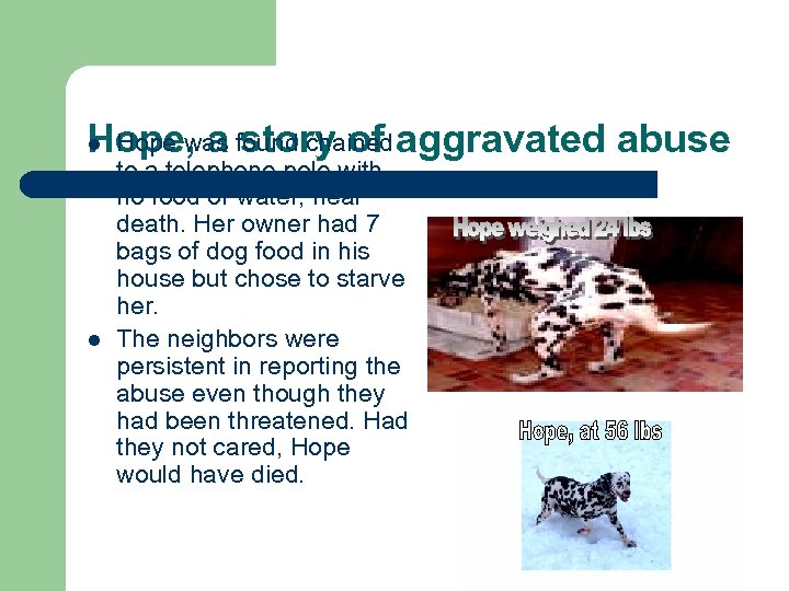 Hope was story of Hope, a found chained aggravated abuse l l to a