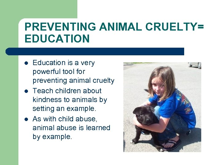 PREVENTING ANIMAL CRUELTY= EDUCATION l l l Education is a very powerful tool for