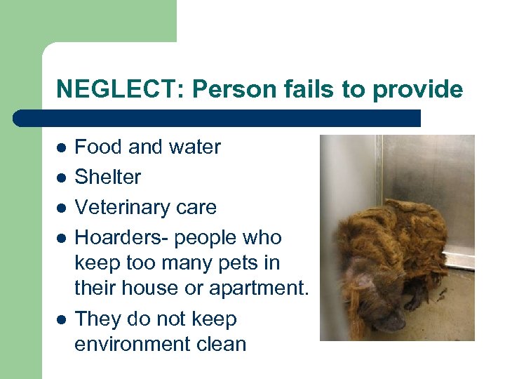 NEGLECT: Person fails to provide l l l Food and water Shelter Veterinary care