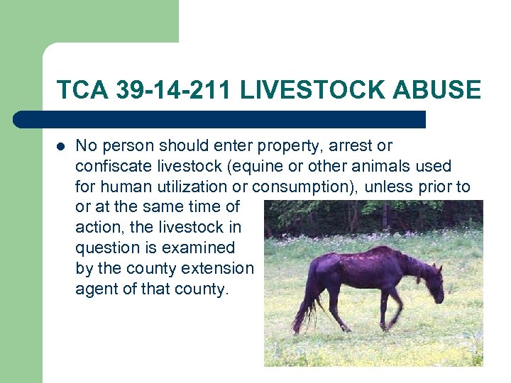 TCA 39 -14 -211 LIVESTOCK ABUSE l No person should enter property, arrest or