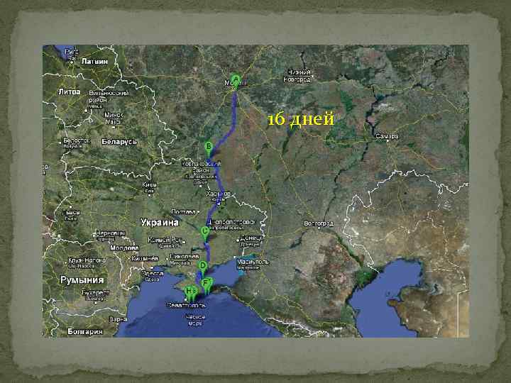 16 дней 