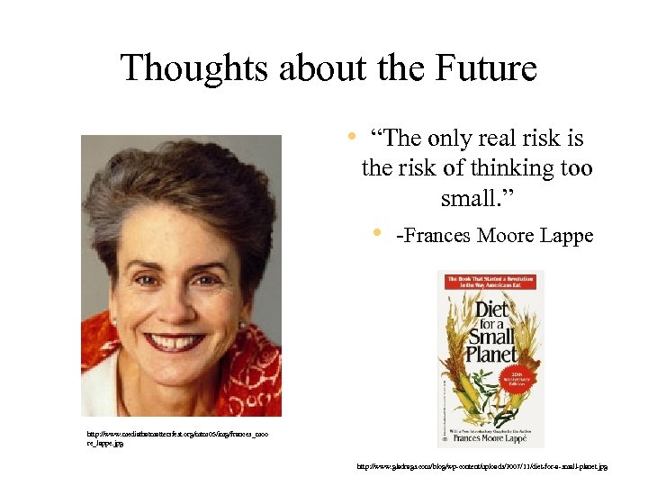 Thoughts about the Future • “The only real risk is the risk of thinking