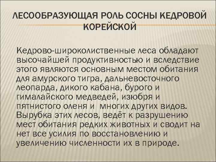 ЛЕСООБРАЗУЮЩАЯ РОЛЬ СОСНЫ КЕДРОВОЙ КОРЕЙСКОЙ Кедрово-широколиственные леса обладают высочайшей продуктивностью и вследствие этого являются