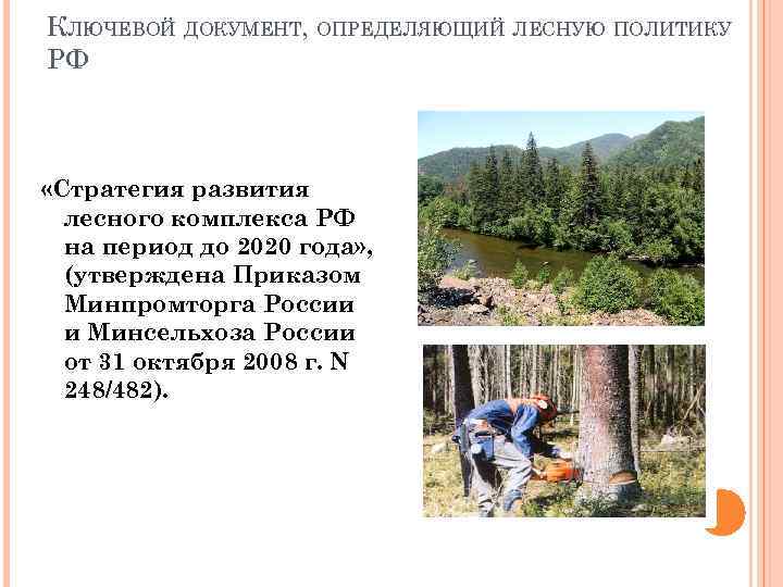 КЛЮЧЕВОЙ ДОКУМЕНТ, ОПРЕДЕЛЯЮЩИЙ ЛЕСНУЮ ПОЛИТИКУ РФ «Стратегия развития лесного комплекса РФ на период до