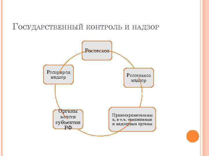 ГОСУДАРСТВЕННЫЙ КОНТРОЛЬ И НАДЗОР Рослесхоз Росприрод надзор Органы власти субъектов РФ Россельхоз надзор Правоохранительны