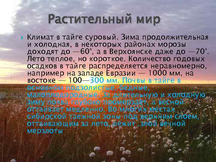 Растительный мир Климат в тайге суровый. Зима продолжительная и холодная, в некоторых районах морозы