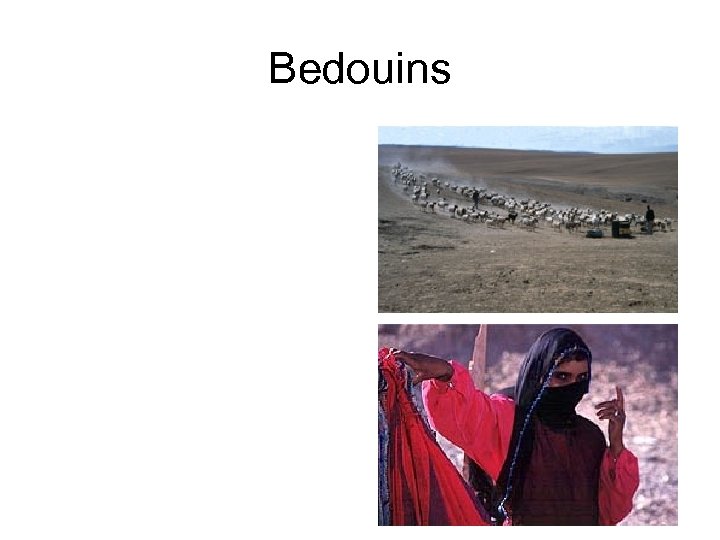 Bedouins 