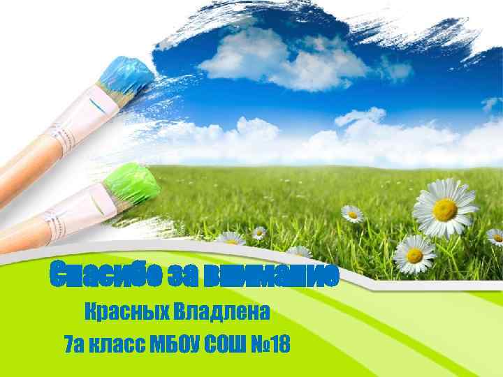 Спасибо за внимание Красных Владлена 7 а класс МБОУ СОШ № 18 