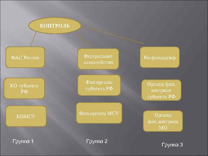 КОНТРОЛЬ ФАС России КО субъекта РФ КОМСУ Группа 1 Федеральное казначейство Росфиннадзор Фин. органы