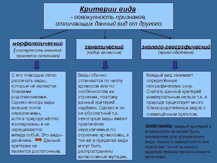 Признак отличаться от других