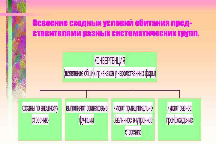 Освоение сходных условий обитания представителями разных систематических групп. 