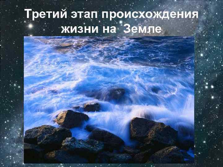 Третий этап происхождения жизни на Земле 