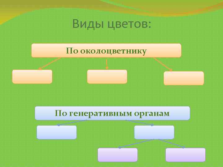 Виды цветов: По околоцветнику По генеративным органам 