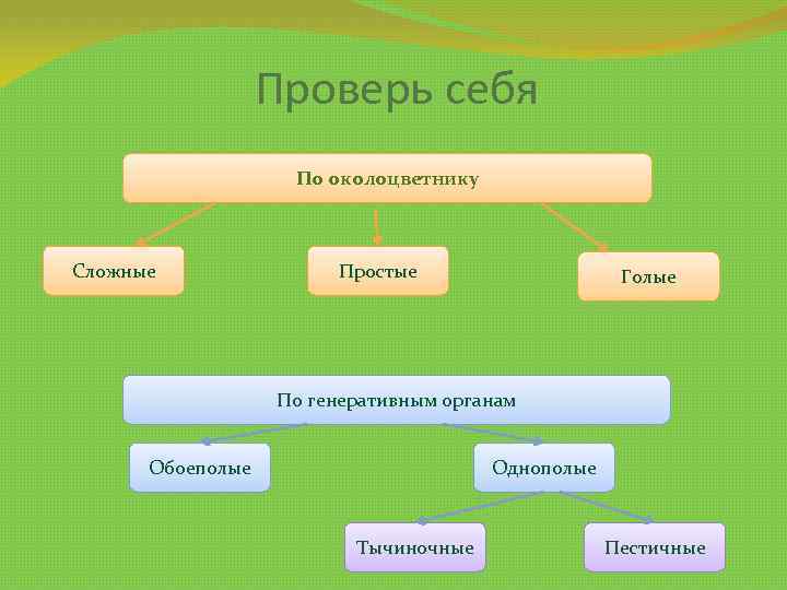 Проверь себя По околоцветнику Сложные Простые Голые По генеративным органам Обоеполые Однополые Тычиночные Пестичные
