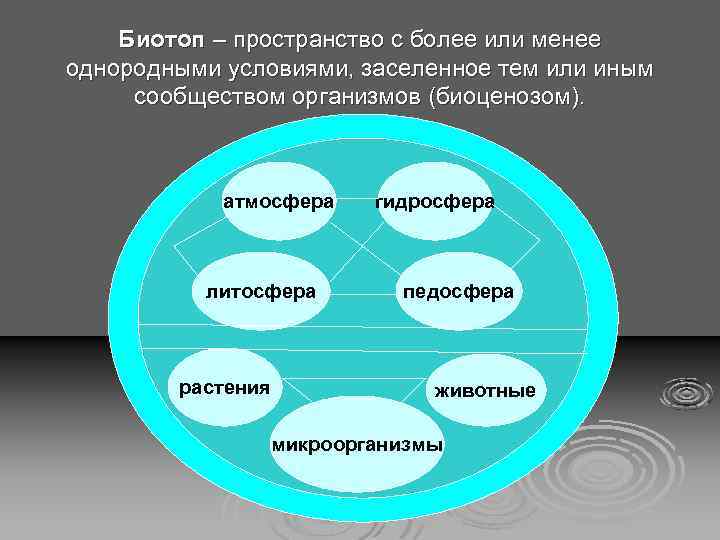 Биотоп биогеоценоз