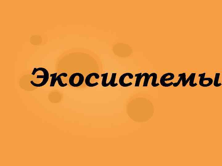 Экосистемы 