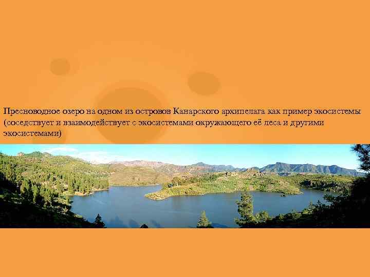 Пресноводное озеро на одном из островов Канарского архипелага как пример экосистемы (соседствует и взаимодействует