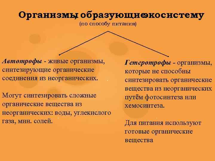 Организмы образующие , экосистему (по способу питания) Автотрофы - живые организмы, синтезирующие органические соединения