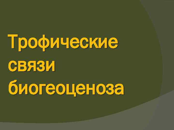 Трофические связи биогеоценоза 