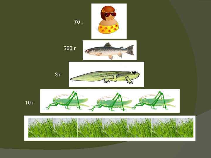 70 г 300 г 3 г 10 г 