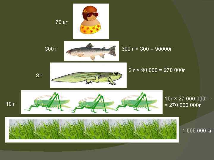 70 кг 300 г 3 г 10 г 300 г × 300 = 90000