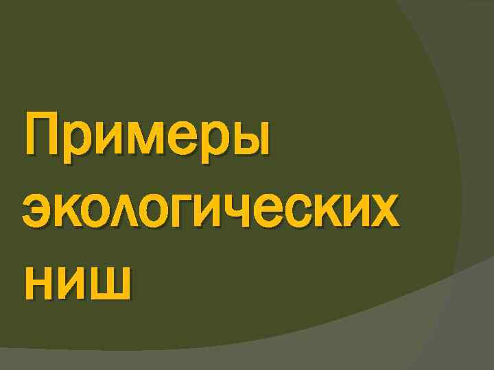 Примеры экологических ниш 