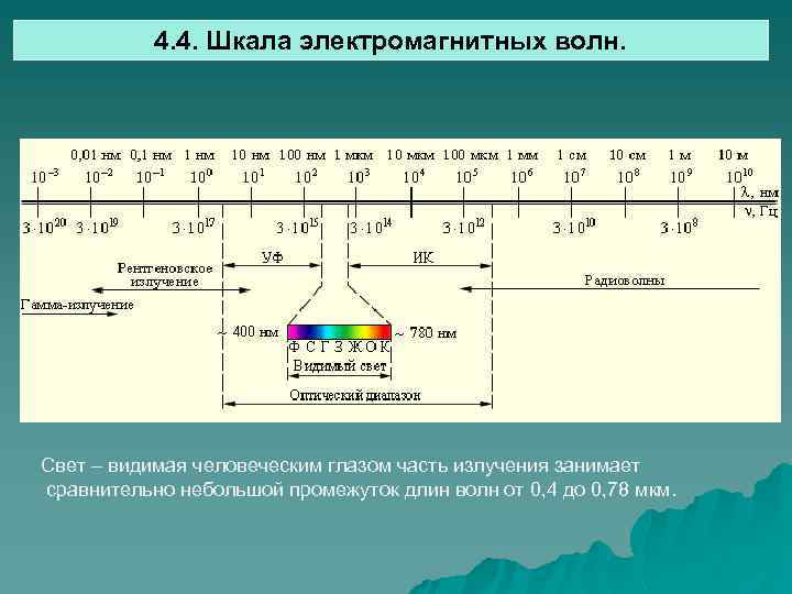 4. 4. Шкала электромагнитных волн. Свет – видимая человеческим глазом часть излучения занимает сравнительно