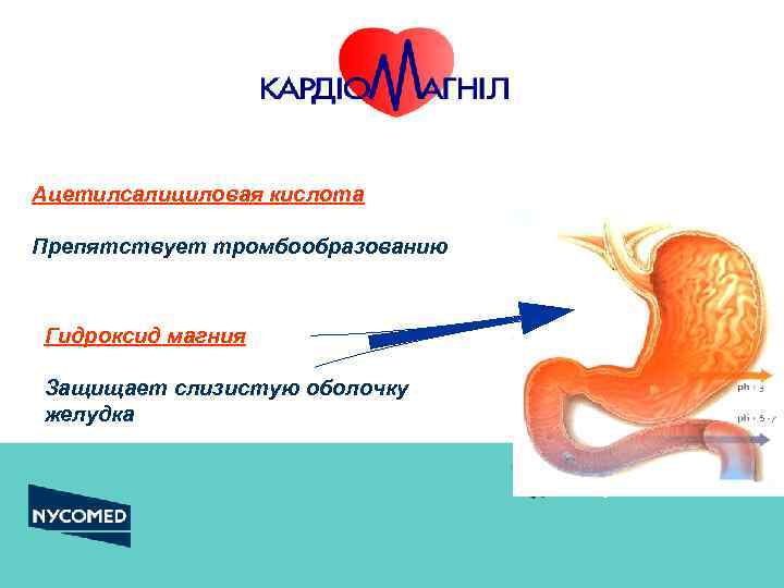 Ацетилсалициловая кислота Препятствует тромбообразованию Гидроксид магния Защищает слизистую оболочку желудка 