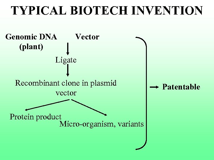 TYPICAL BIOTECH INVENTION Genomic DNA (plant) Vector Ligate Recombinant clone in plasmid vector Protein