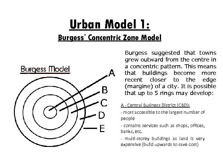 Urban Model 1: Burgess’ Concentric Zone Model Burgess suggested that towns grew outward from