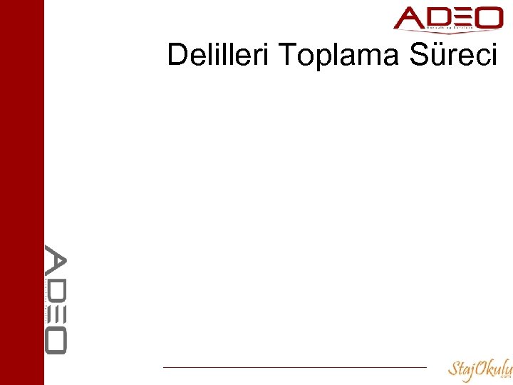 Delilleri Toplama Süreci 