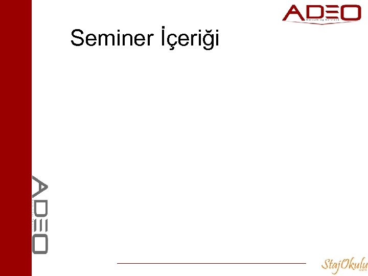 Seminer İçeriği 