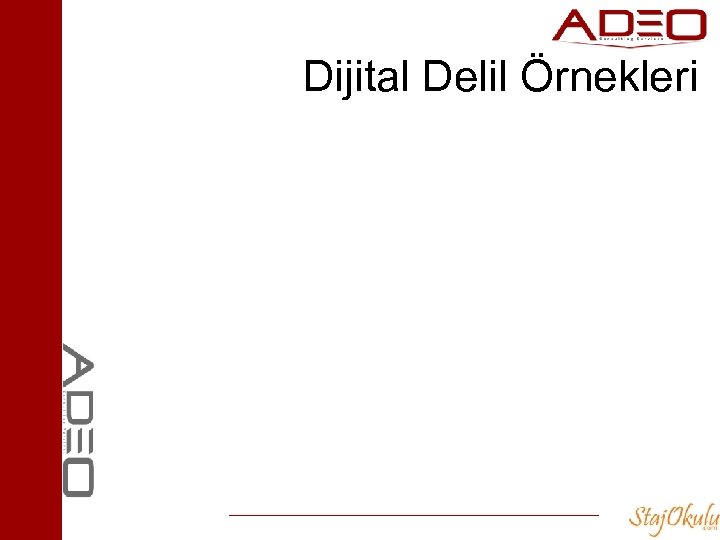 Dijital Delil Örnekleri 