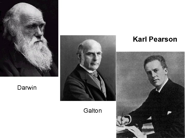 Karl Pearson Darwin Galton 