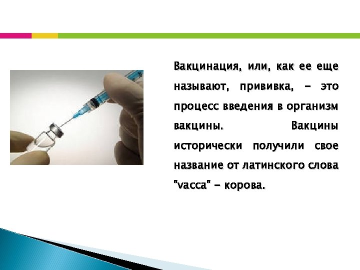 Вакцинация, или, как ее еще называют, прививка, - это процесс введения в организм вакцины.