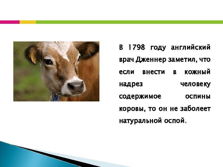 В 1798 году английский врач Дженнер заметил, что если внести надрез содержимое в кожный
