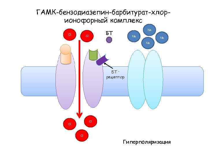 ГАМК-бензодиазепин-барбитурат-хлорионофорный комплекс Cl Na БТ Cl Na Na Na БТ рецептор Cl Cl Cl