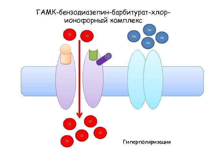 ГАМК-бензодиазепин-барбитурат-хлорионофорный комплекс Na Cl Cl Na Na Na Cl Cl Cl Гиперполяризация 