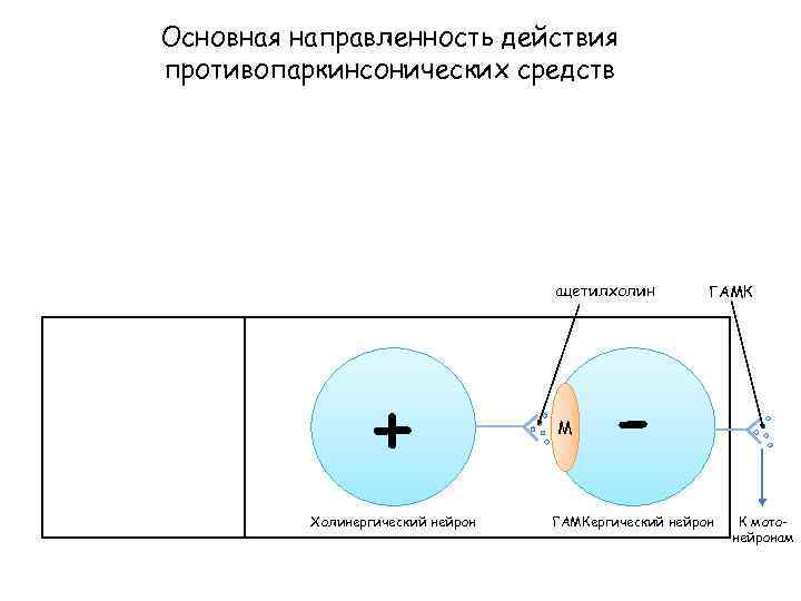 Основная направленность действия противопаркинсонических средств ацетилхолин + Холинергический нейрон M ГАМК - ГАМКергический нейрон