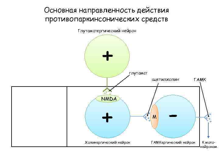 Основная направленность действия противопаркинсонических средств Глутаматергический нейрон + глутамат ацетилхолин NMDA + Холинергический нейрон