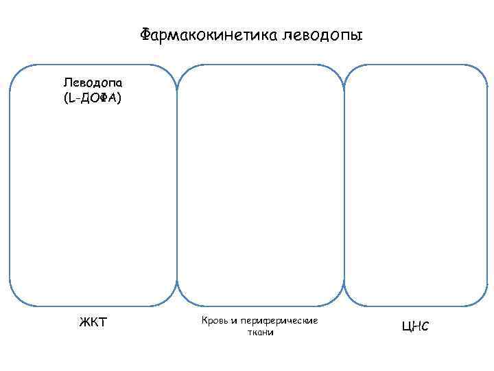 Фармакокинетика леводопы Леводопа (L-ДОФА) ЖКТ Кровь и периферические ткани ЦНС 