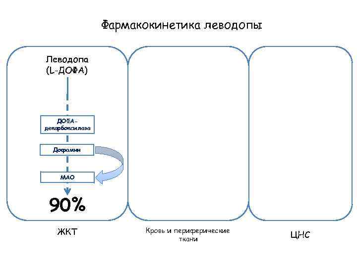 Фармакокинетика леводопы Леводопа (L-ДОФА) ДОФАдекарбоксилаза Дофамин МАО 90% ЖКТ Кровь и периферические ткани ЦНС