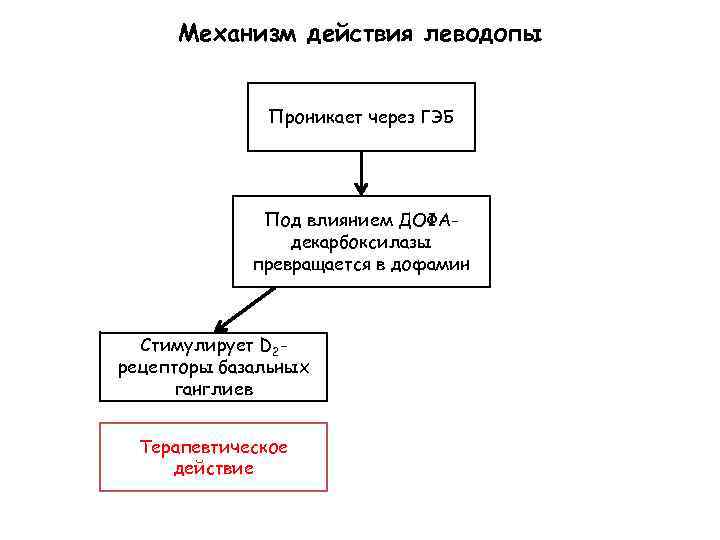 Механизм действия леводопы Проникает через ГЭБ Под влиянием ДОФАдекарбоксилазы превращается в дофамин Стимулирует D