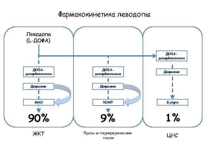 Фармакокинетика леводопы Леводопа (L-ДОФА) ДОФАдекарбоксилаза Дофамин МАО КОМТ S. nigra 90% 9% 1% ЖКТ