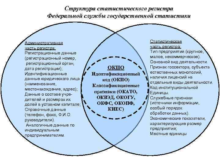 Структура статистического регистра Федеральной службы государственной статистики Административная часть регистра: Регистрационные данные (регистрационный номер,