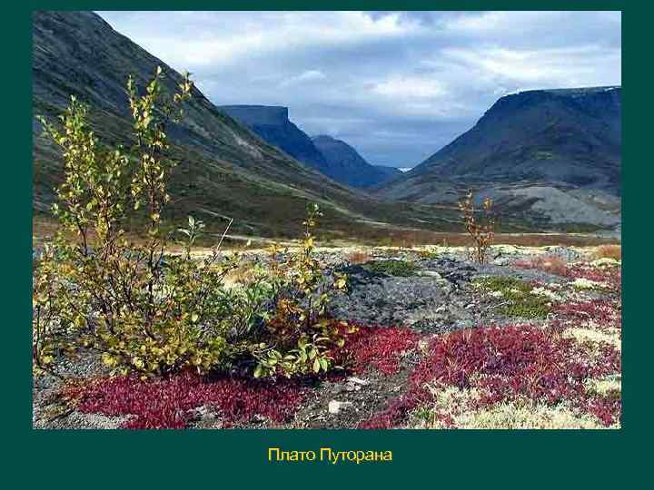 Плато Путорана 
