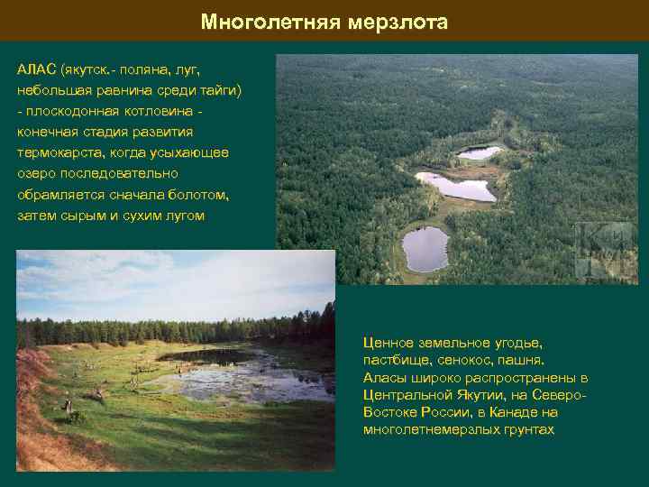Многолетняя мерзлота АЛАС (якутск. поляна, луг, небольшая равнина среди тайги) плоскодонная котловина конечная стадия
